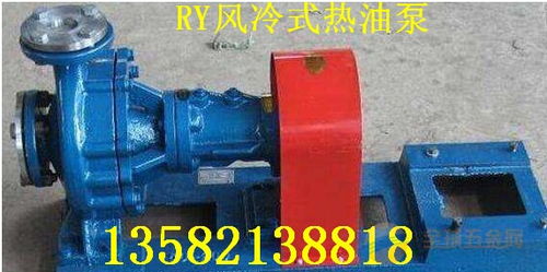 RY80-50-250風(fēng)冷式導(dǎo)熱油泵 高效導(dǎo)熱解決方案的關(guān)鍵組件